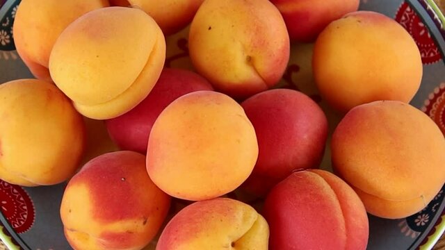 plusieurs abricots dans un plat