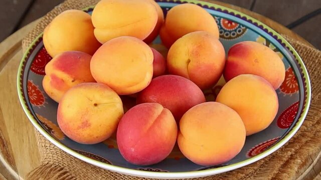 plusieurs abricots dans un plat