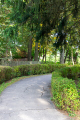 Obraz premium beautiful green alley with asphalt path in a summer park with benches in summer on a sunny day