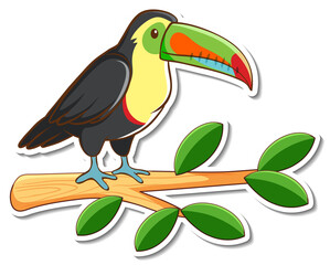A toucan bird standing on a branch sticker