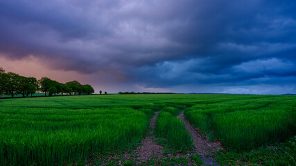 Spring storm clouds over Hampshire hills and lanes, South Downs National Park, UK