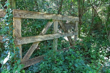 Traditional wooden fence gate in the wild woods