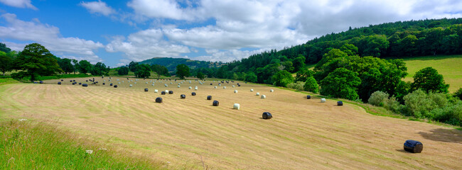 Straw bales in a field on the banks of the river Usk at Llandetty near Tay-y-bont, Wales