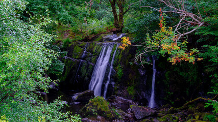 Small waterfall flowing into Loch Awe near Ardchonnel, Scotland