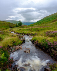 Highland stream, waterfall and tree in afternoon light on the Allt Bail' a'mhuilinn, Ben Lawers...