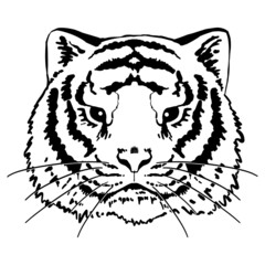 Tiger full face. Vector illustration portrait of wild cat. Monochrome retro ink drawing clipart isolated on white. Eastern calendar symbol of the year. Design element for sticker, decor, card, print.