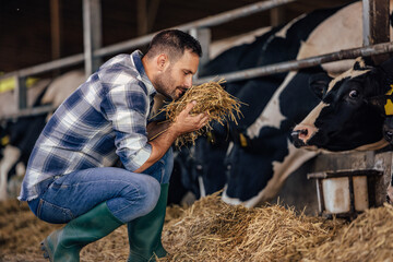 Adult man, checking the hay. © bnenin