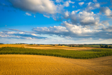 Beautiful scenery of fields during harvest in northern Poland