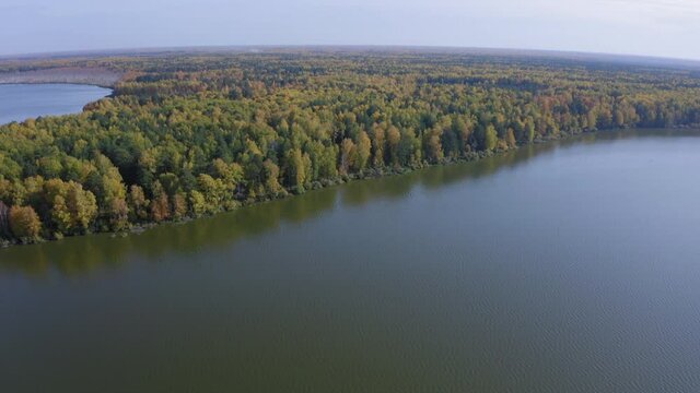 Aerial footage of a surface of the lake surrounded by colorful forest in autumn.