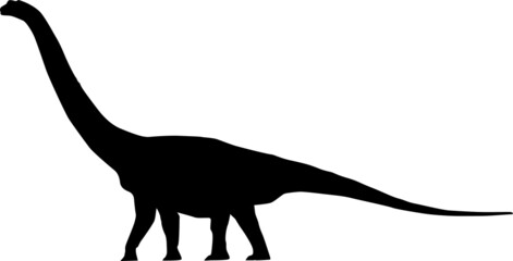 Dinosaur. The silhouette of a large dinosaur with a long neck. Collection of Jurassic animals. Black and white illustration of dinosaurs for children.