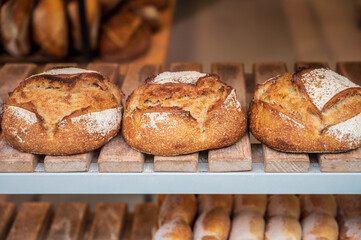 French bakery with fresh baked breads and buns