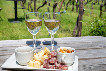 Lunch with Dutch snacks and white wine served outdoor on green meadow with vineyard, wine production in Netherlands