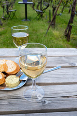 Tasting of Dutch white wine served outdoor on green meadow with vineyard, wine production in Netherlands