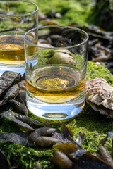 Tasting of single malt or blended Scotch whisky and seabed at low tide with algae, stones and oysters on background, private whisky tours in Scotland, UK