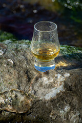 Tasting of single malt or blended Scotch whisky and blue sea with stones and oysters on background, private whisky tours in Scotland, UK