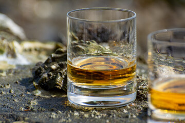 Tasting of single malt or blended Scotch whisky and seabed at low tide with algae, stones and oysters on background, private whisky tours in Scotland, UK