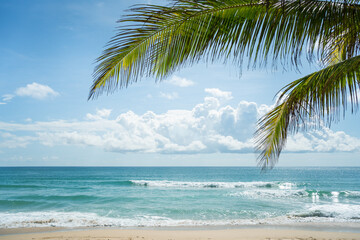 The best photo frame coconut trees on beach.Amazing palms on island blue sky and clouds background. 