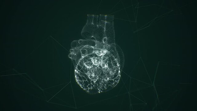 Pulsating heart animation. Dynamic Heart beating. X-ray, magnetic resonance scanning footage. Medical, scientific clip. Human anatomy research, cardiac disease diagnosis. Cardiology. 3D Render concept