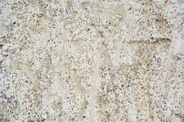 high quality shell rock texture for designers and architects