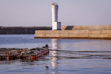 海辺の風景　港の繋留ロープを渡る海鳥