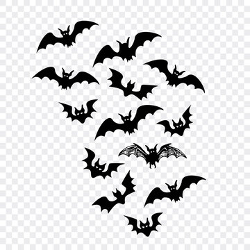Group of flying bats over white background