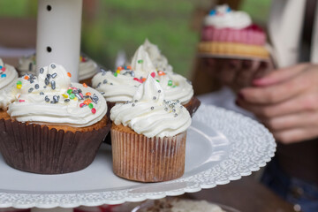 Children's picnic with cakes and sweets.