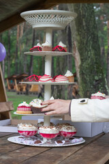 Children's picnic with cakes and sweets.