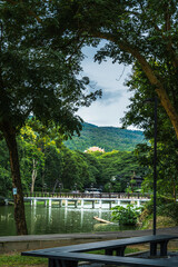 bench under the tree at Park at Ang Kaew Chiang Mai University in nature forest Mountain views spring cloudy sky background with white cloud.