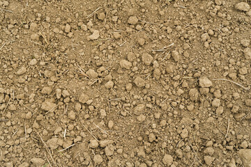 Close up of plots of land
