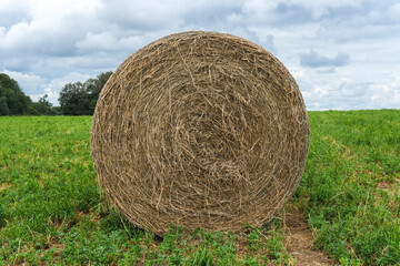 Bale of straw in a field after the harvest
