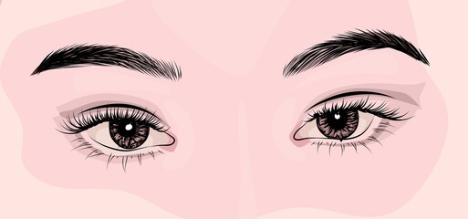 Beauty asian eyes with natural eyelashes.Fresh look for logo, print, fashion template, eyelash extension. Precise lineart in vector