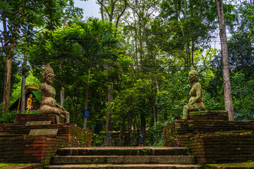 Wat Umong Suan Puthatham is a Buddhist temple in the historic centre and is a Buddhist temple is a major tourist attraction with green forest nature in Chiang Mai,Thailand.
