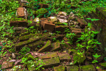 Wat Umong Suan Puthatham is a Buddhist temple in the historic centre and is a Buddhist temple is a major tourist attraction with green forest nature in Chiang Mai,Thailand.