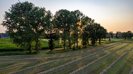 Aerial view with a drone of a spring wavy agricultural countryside landscape with plowed and unplowed fields and trees in the blue evening sky. High quality photo