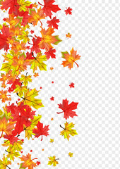 Fototapeta na wymiar Brown Leaf Background Transparent Vector. Floral Pattern Texture. Ocher Tree Foliage. November Leaves Illustration.