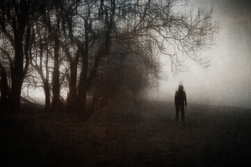 A mysterious figure. Standing in the countryside. On a spooky winters day. With a grunge, blurred edit.
