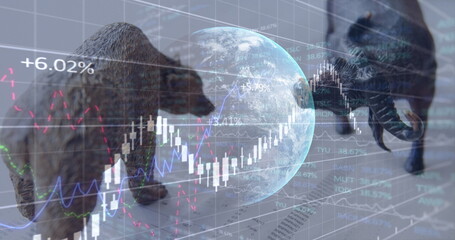 Mathematical equations over animals figures.