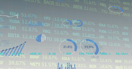 Image of statistics recording and financial data processing