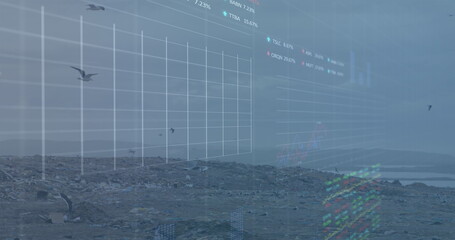 Digital composite image of financial data processing against birds flying over landfill