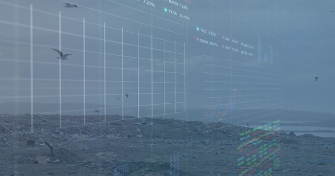 Digital composite image of financial data processing against birds flying over landfill - Powered by Adobe