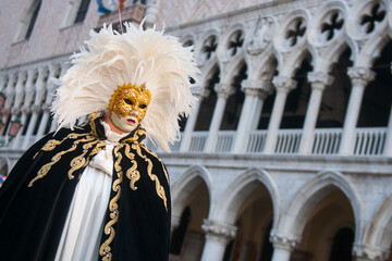Person wearing a gold facemask and carnival costume standing in front of Doge's palace