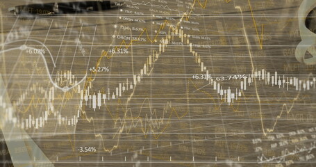 Image of financial data processing and lines fluctuating