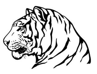 Tiger Side View Face, Wild Animal Illustration