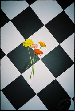 flowers on the floor