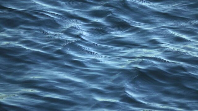 朝の海辺の波_47