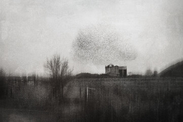 A flock of starlings flying across the countryside on a moody winters day. With a grunge, artistic edit.