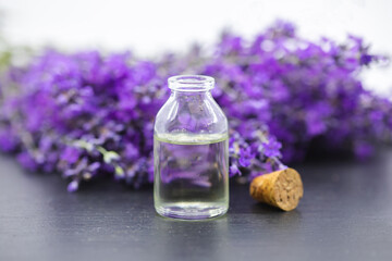 Glass bottle of essential natural organic lavender aromatherapy or massage oil with fresh lavender flowers.