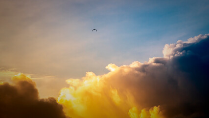 Surreal bright golden yellow cloudscape in the evening, Lonely silhouette bird flying high against the bright skies. Arriving of the darkness and the night concept.
