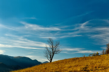 Fototapeta premium Resting place in the mountains. wooden simple table and benches with mountain and lonely tree views. 