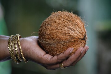 Coconut in the hand of a women